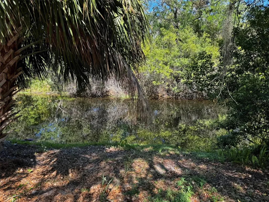 12302 Cobble Stone Drive Hudson FL 34667