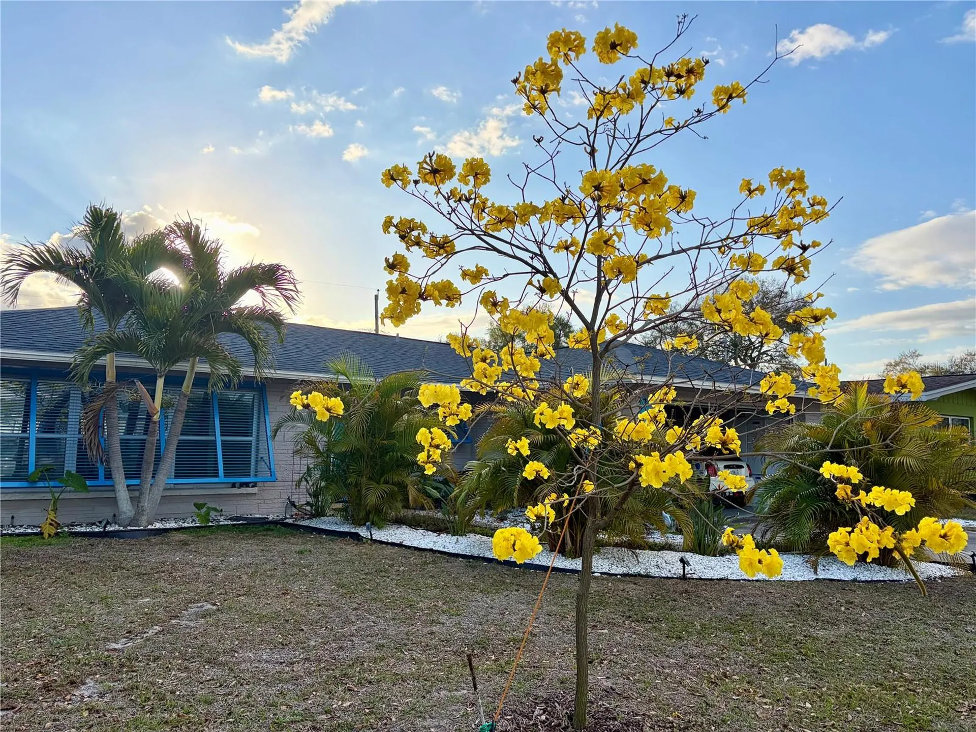 1471 San Roy Drive Dunedin FL 34698