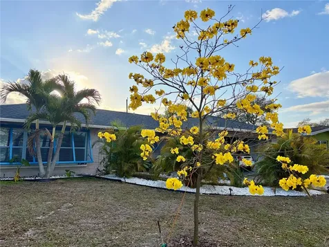 1471 San Roy Drive Dunedin FL 34698