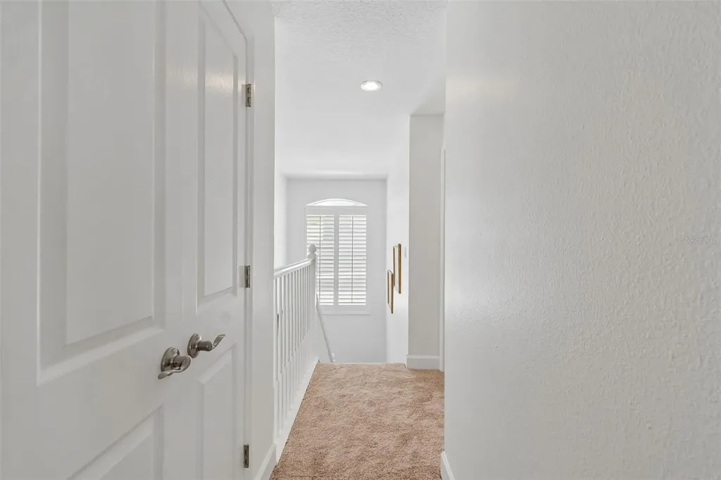 5414 Avenal Drive Lutz FL 33558