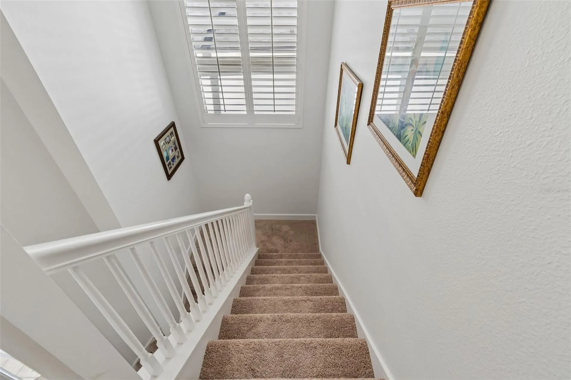 5414 Avenal Drive Lutz FL 33558