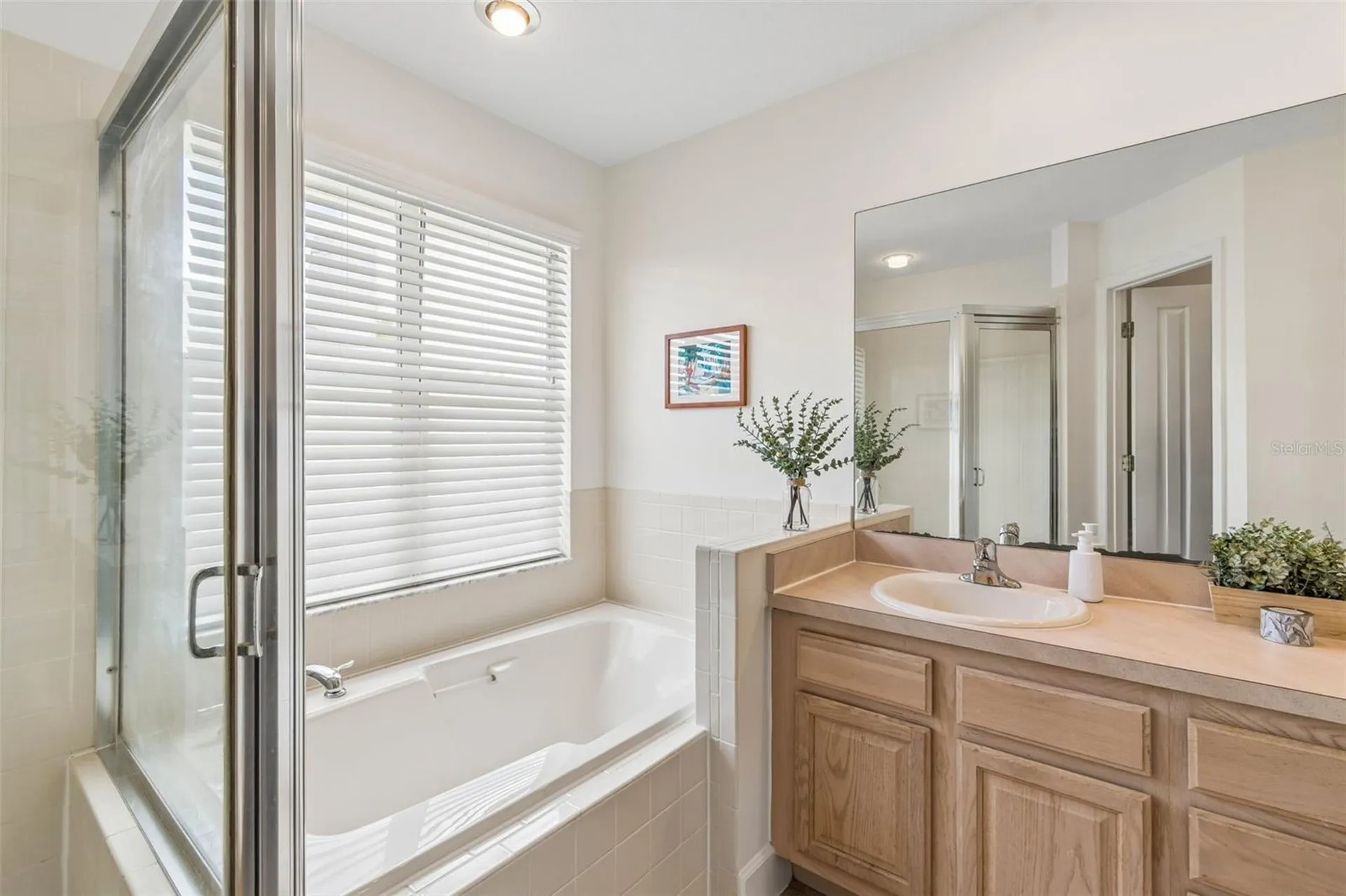 5414 Avenal Drive Lutz FL 33558