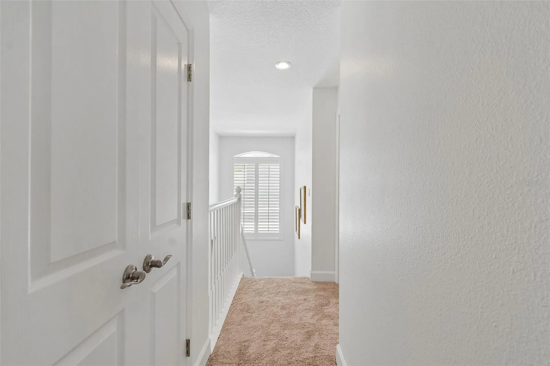 5414 Avenal Drive Lutz FL 33558