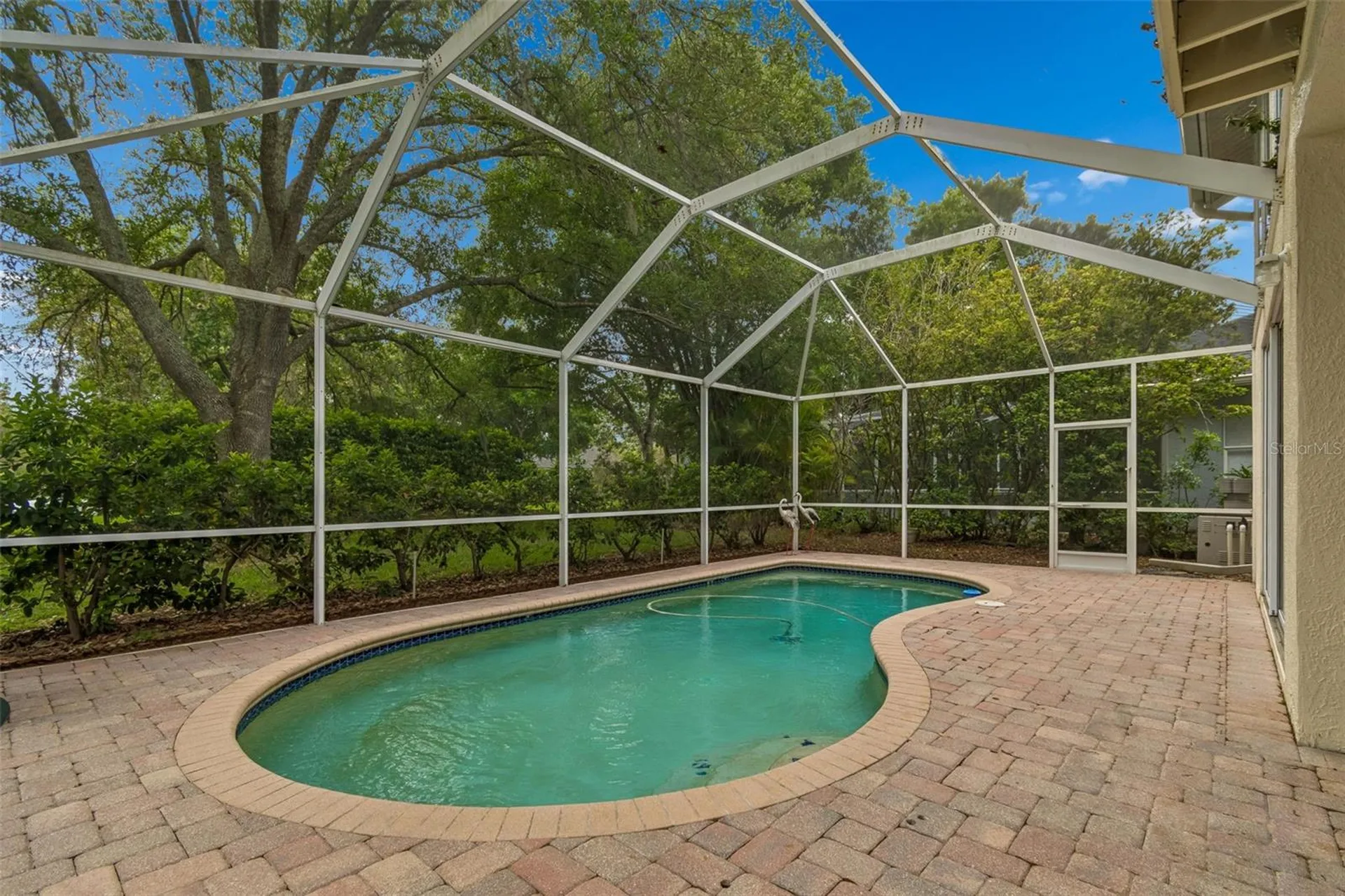 5414 Avenal Drive Lutz FL 33558