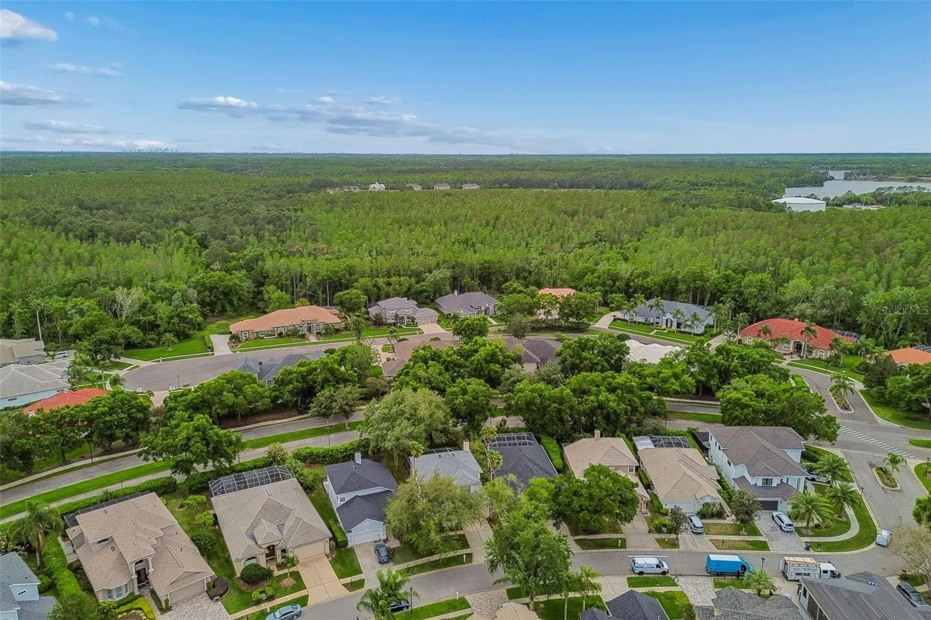 5414 Avenal Drive Lutz FL 33558
