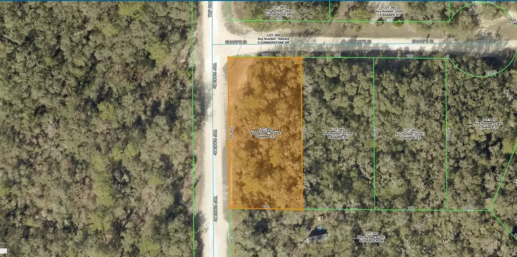 Sharpe Street Webster FL 33597