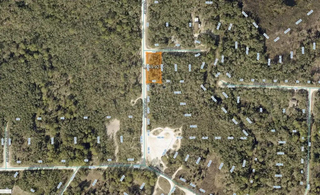 Sharpe Street Webster FL 33597