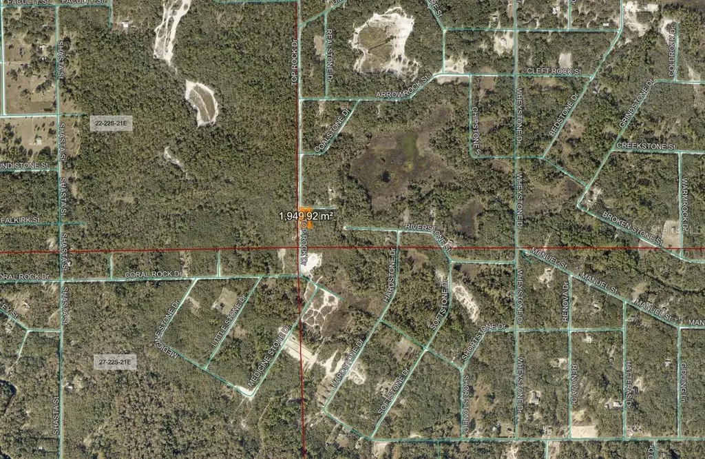 Sharpe Street Webster FL 33597