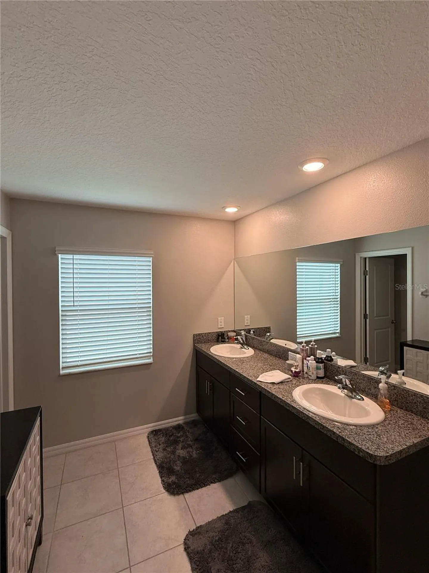 146 Rain Berry Avenue Ruskin FL 33570