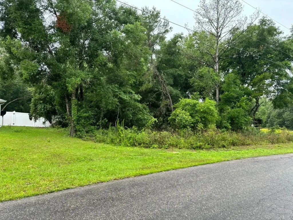 1 Guava Pass Trail Ocklawaha FL 32179