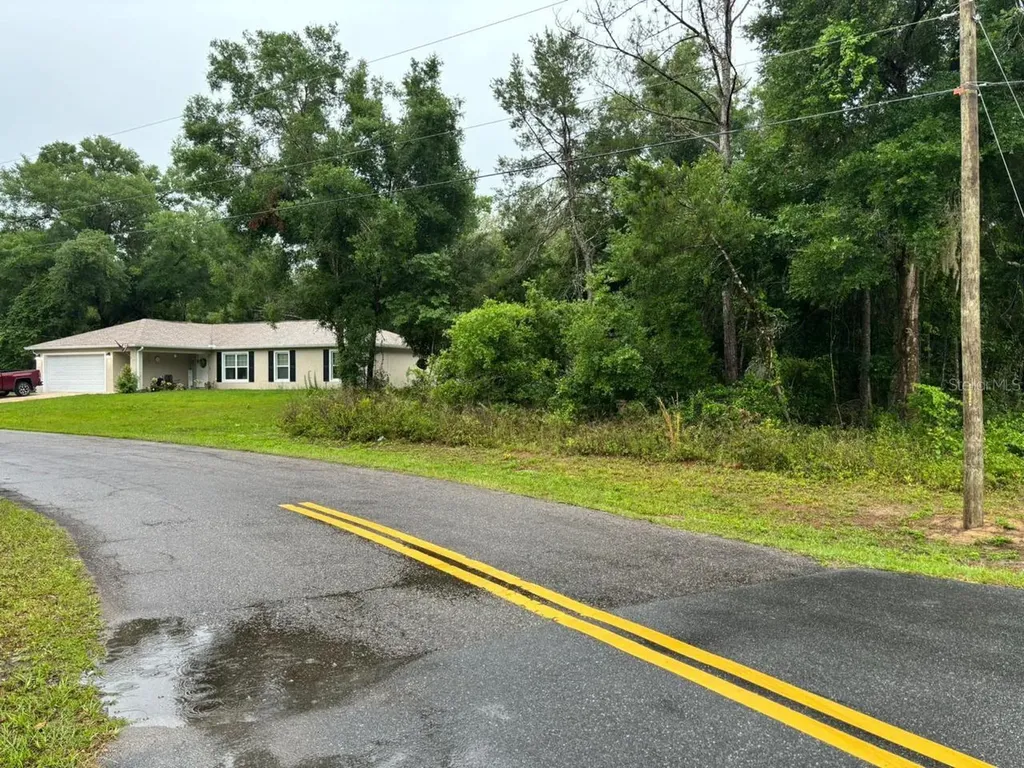 1 Guava Pass Trail Ocklawaha FL 32179