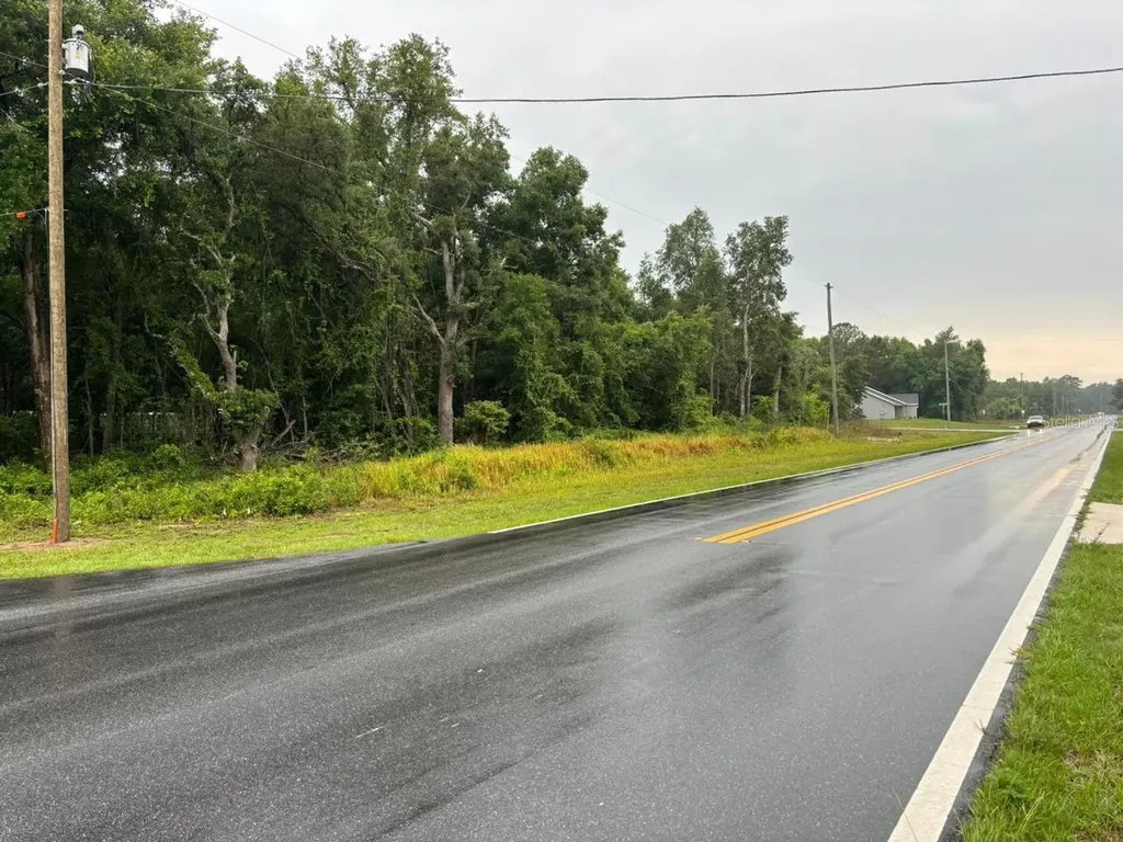 1 Guava Pass Trail Ocklawaha FL 32179