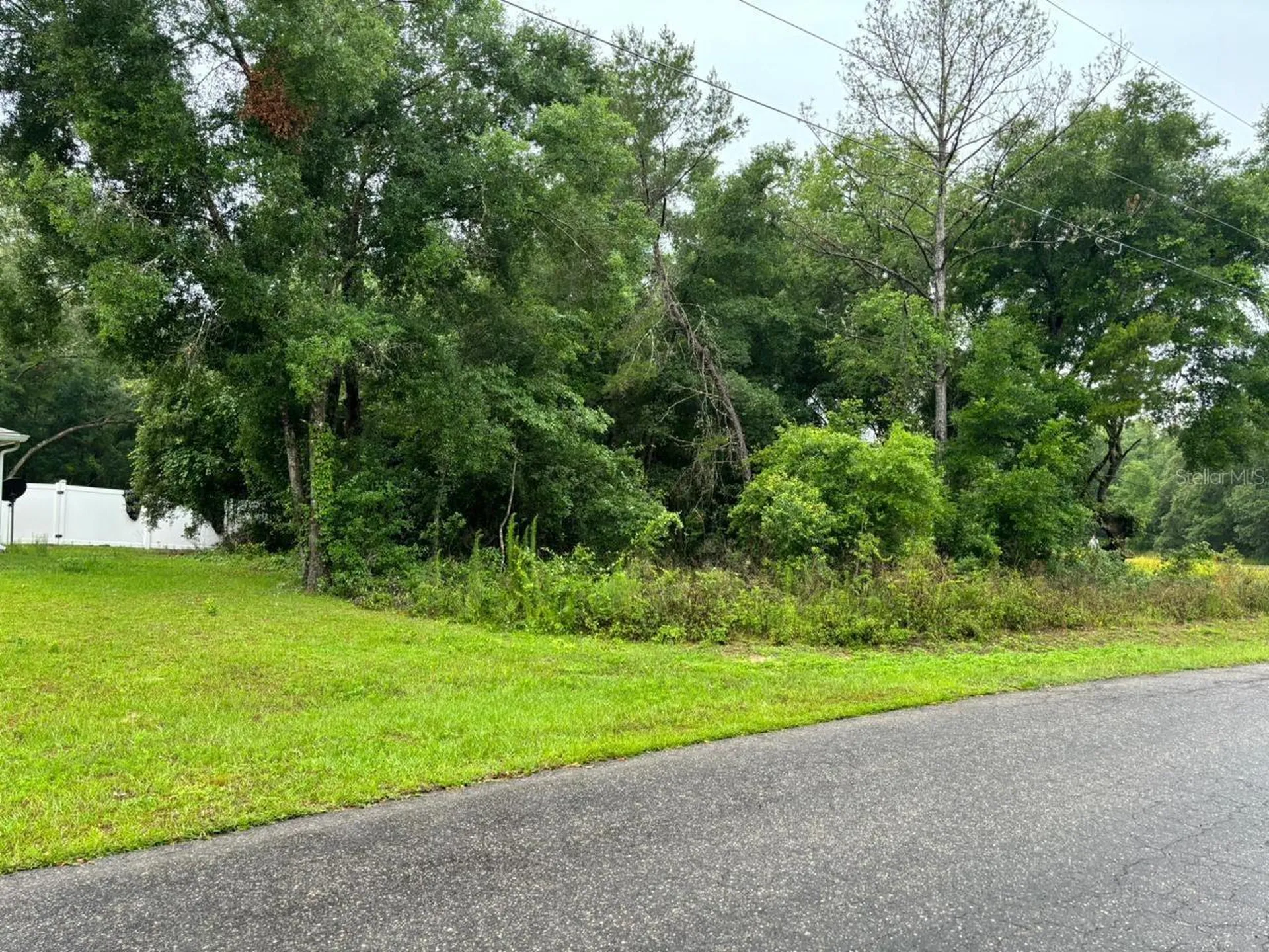 1 Guava Pass Trail Ocklawaha FL 32179