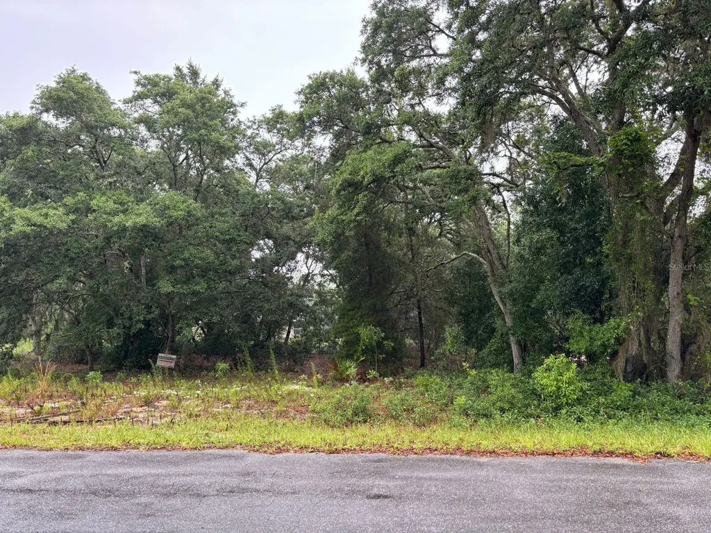 7 Fisher Way Drive Ocklawaha FL 32179
