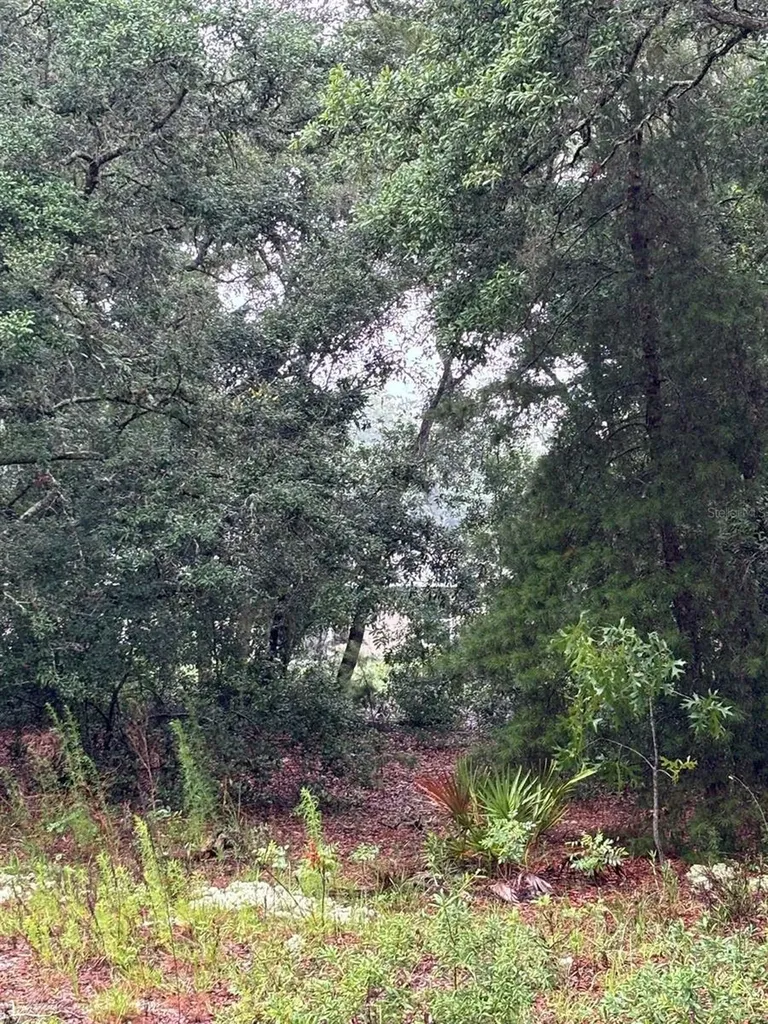 7 Fisher Way Drive Ocklawaha FL 32179