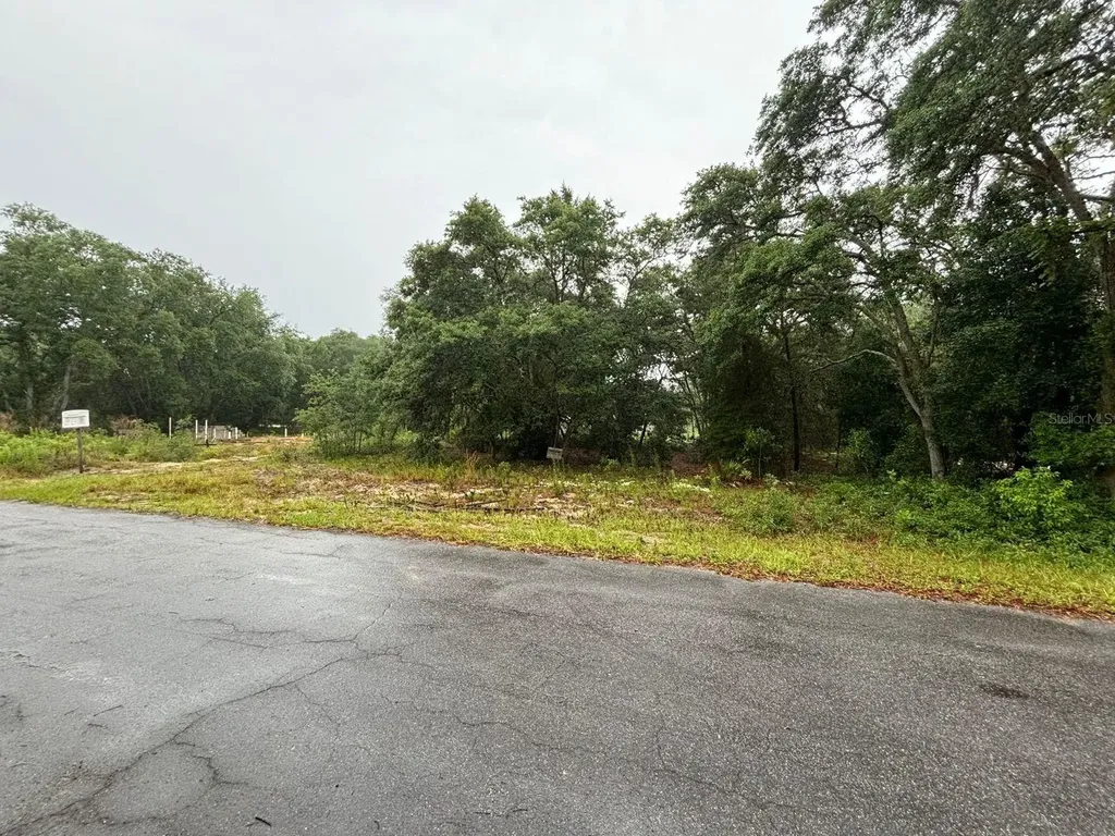7 Fisher Way Drive Ocklawaha FL 32179