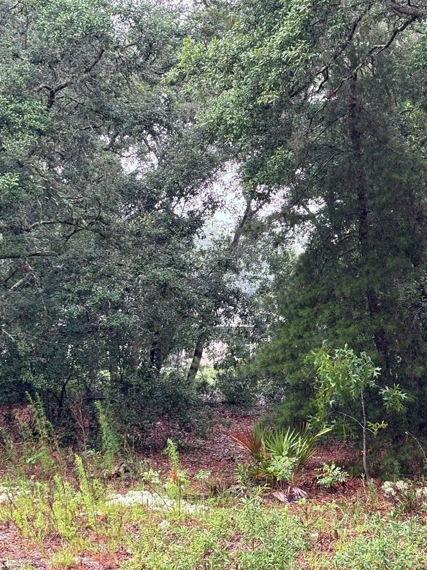 7 Fisher Way Drive Ocklawaha FL 32179