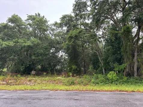 7 Fisher Way Drive Ocklawaha FL 32179