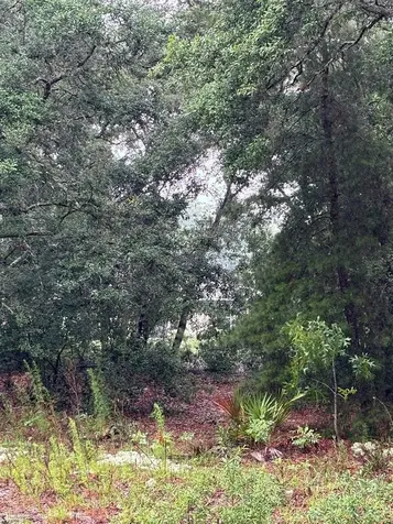 7 Fisher Way Drive Ocklawaha FL 32179