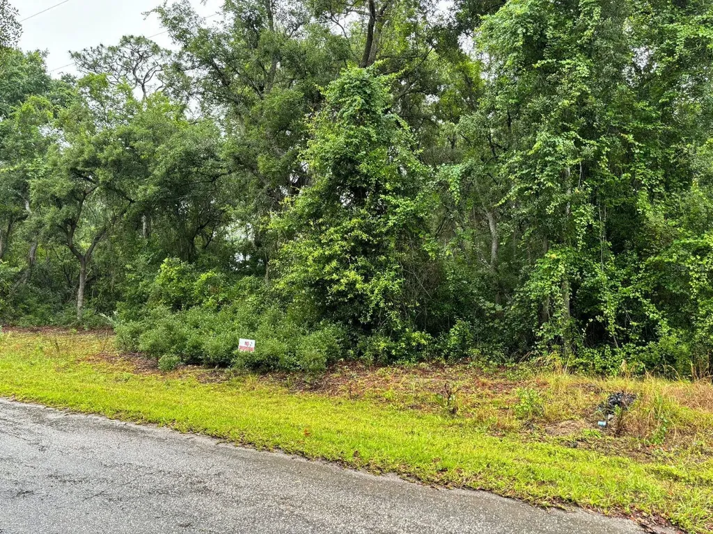 11 Fisher Way Course Ocklawaha FL 32179