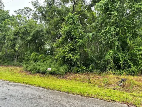 11 Fisher Way Course Ocklawaha FL 32179