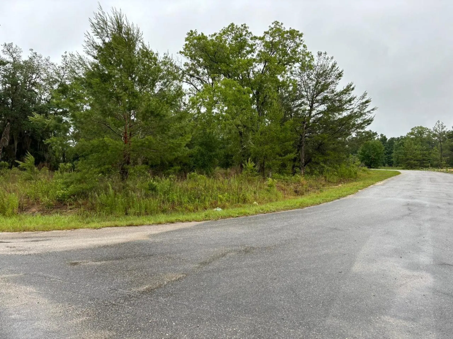 1 Malauka Radial Drive Ocklawaha FL 32179