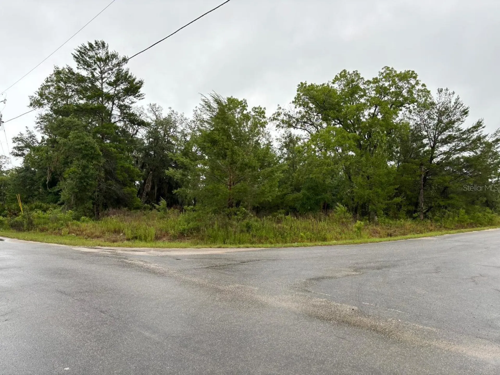 1 Malauka Radial Drive Ocklawaha FL 32179