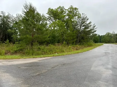 1 Malauka Radial Drive Ocklawaha FL 32179