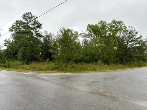 1 Malauka Radial Drive Ocklawaha FL 32179