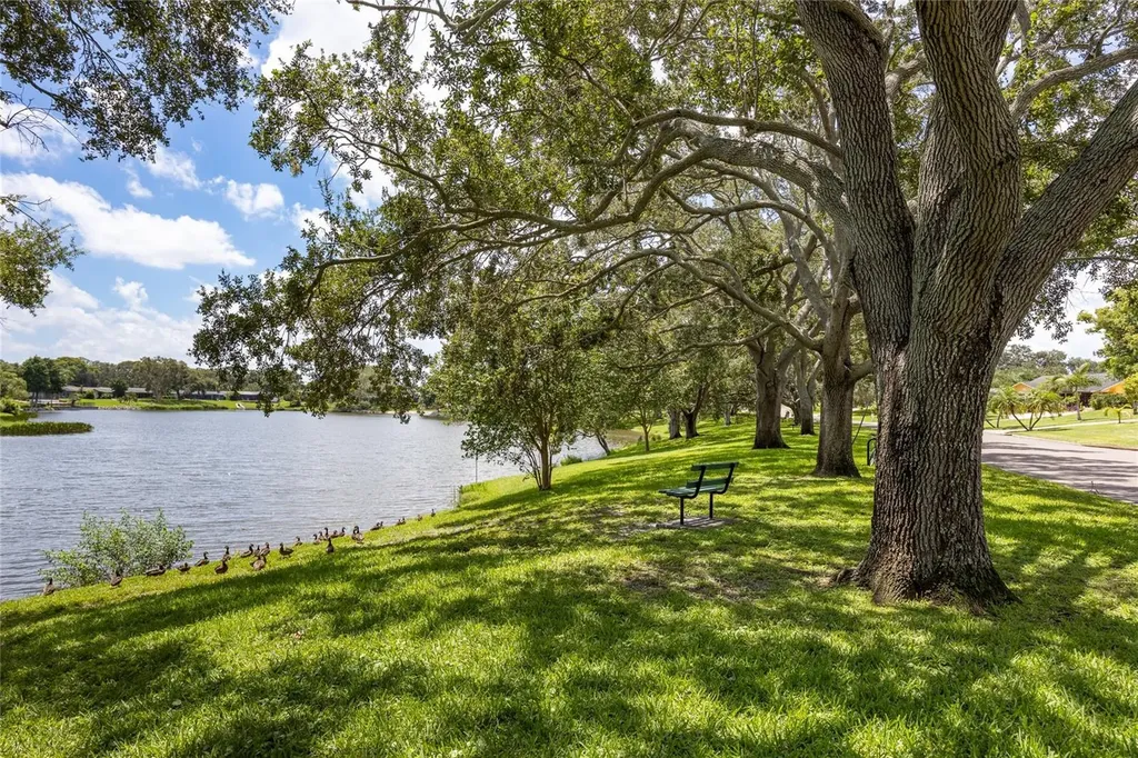 1218 Taylor Avenue Dunedin FL 34698