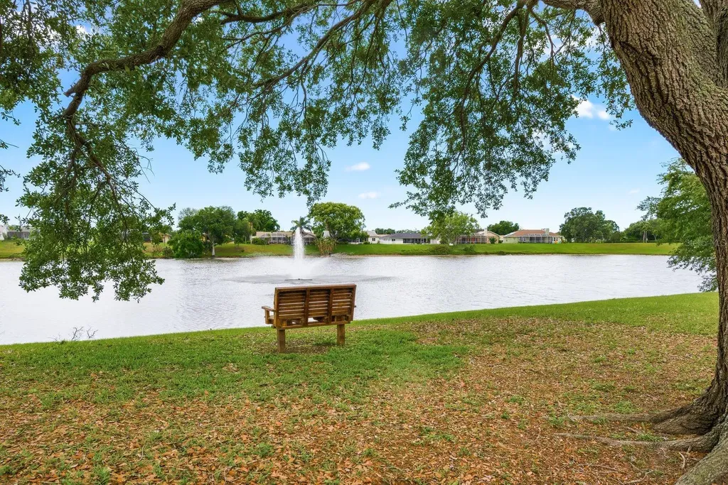 1011 Ridge Drive Palm Harbor FL 34683