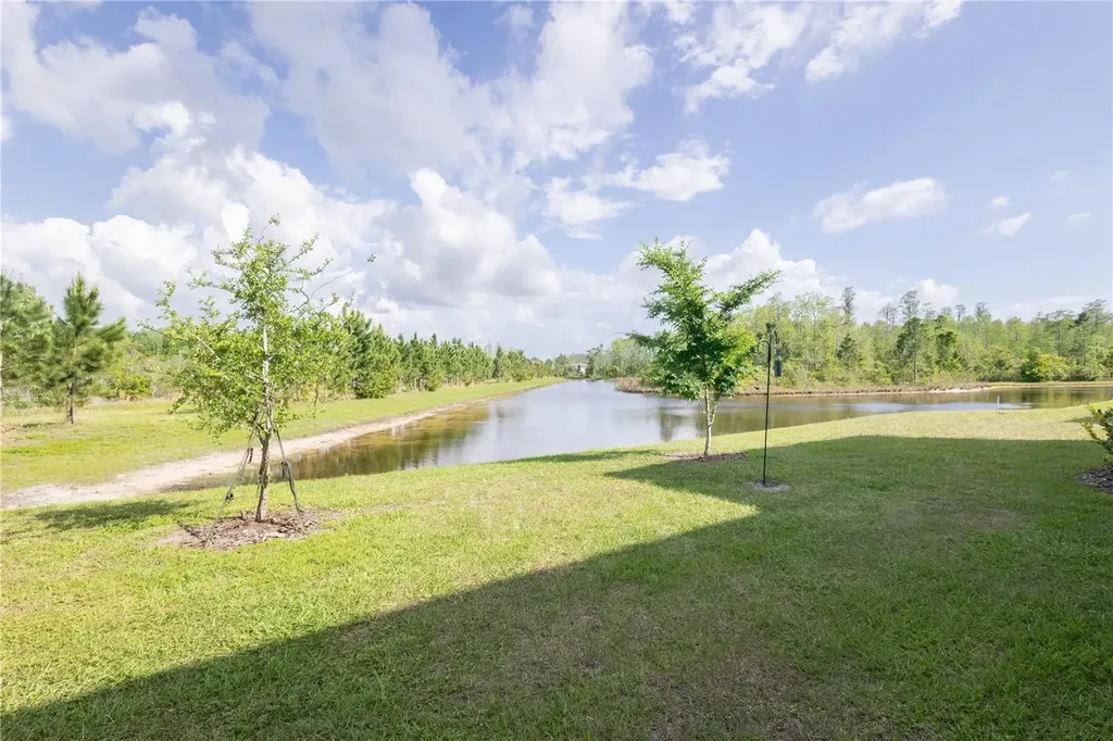 11262 Crescent Deer Drive Land O Lakes FL 34638