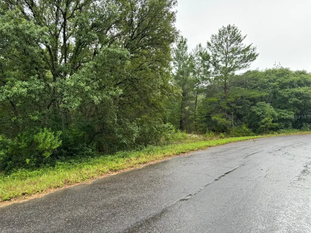 16 Fisher Court Way Ocklawaha FL 32179