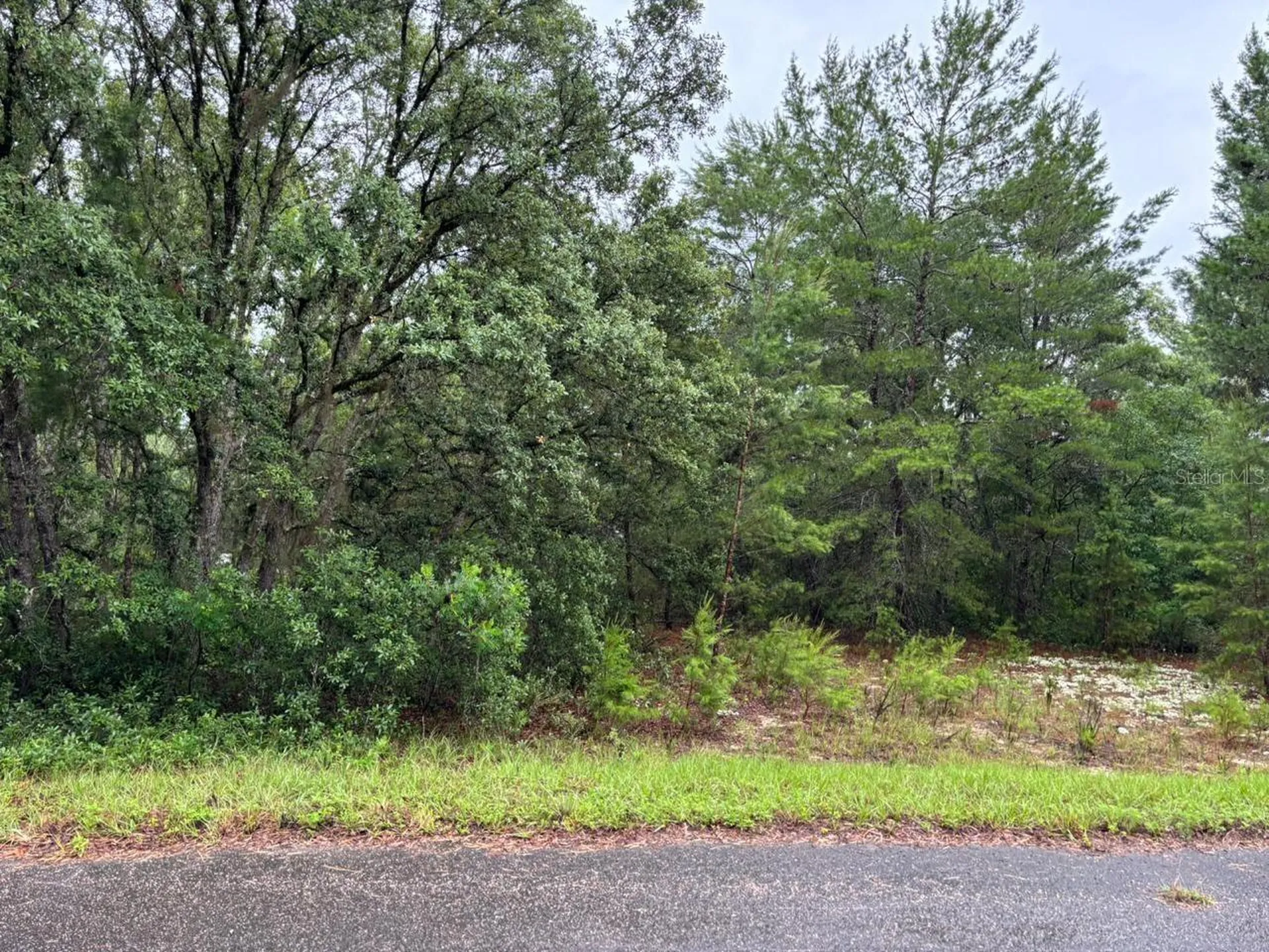 16 Fisher Court Way Ocklawaha FL 32179