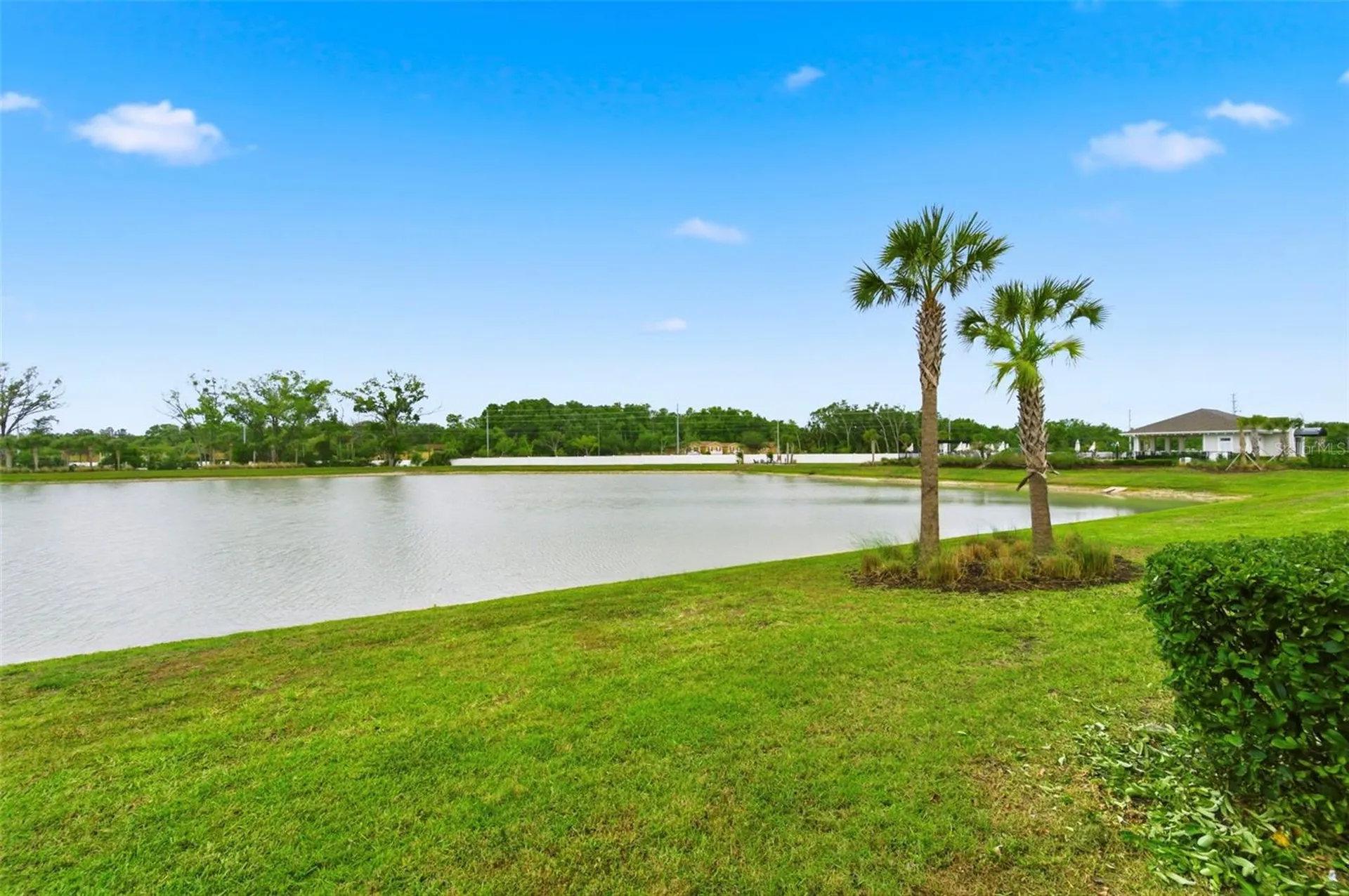 4327 Cloud Hopper Way Lutz FL 33559