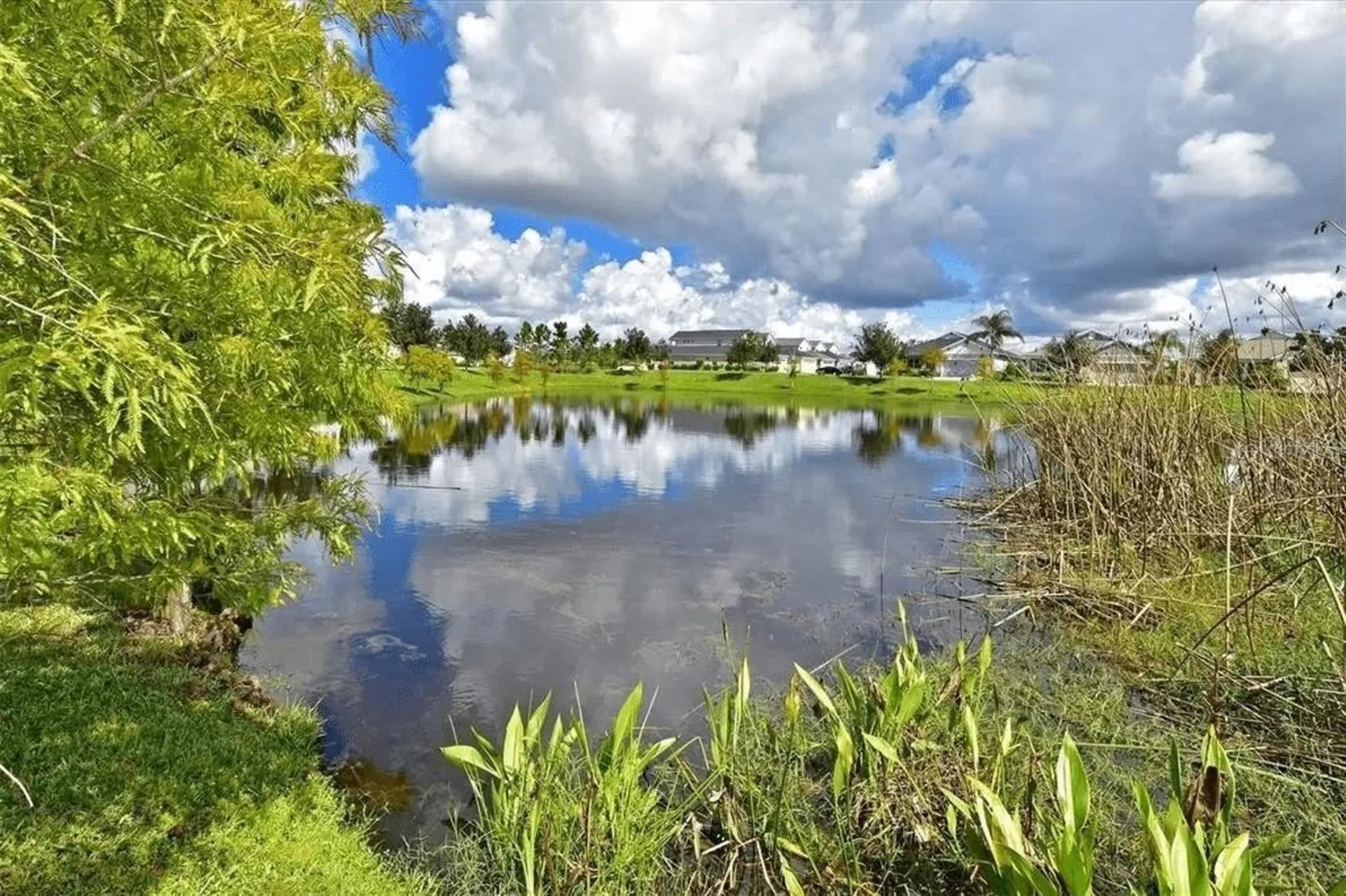 4815 Woodbrook Drive Sarasota FL 34243