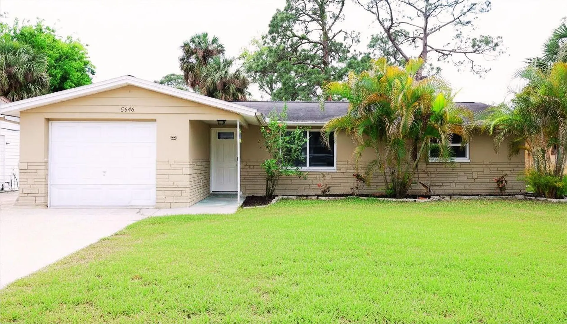 5646 Quist Drive Port Richey FL 34668