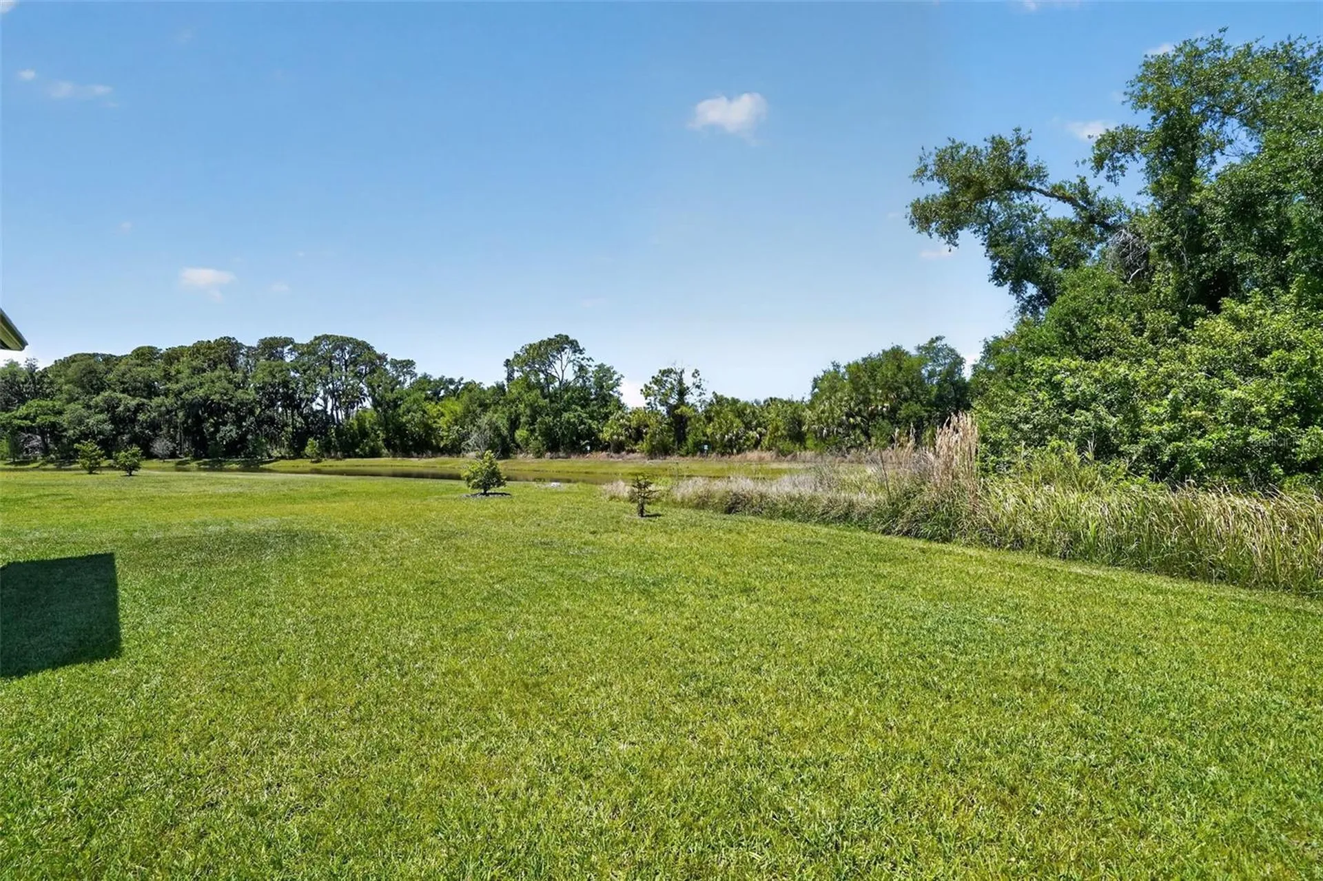 8131 Tea Olive Terrace Palmetto FL 34221