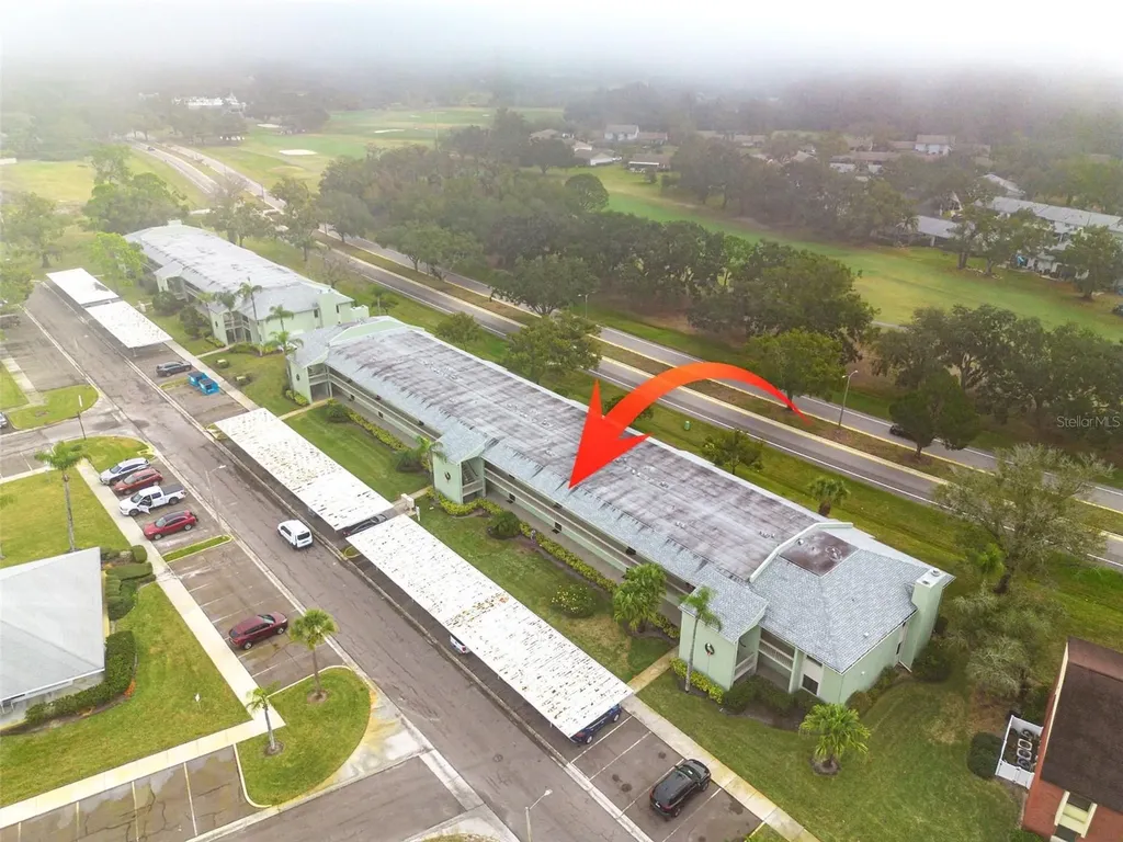 218 Caryl Way Oldsmar FL 34677