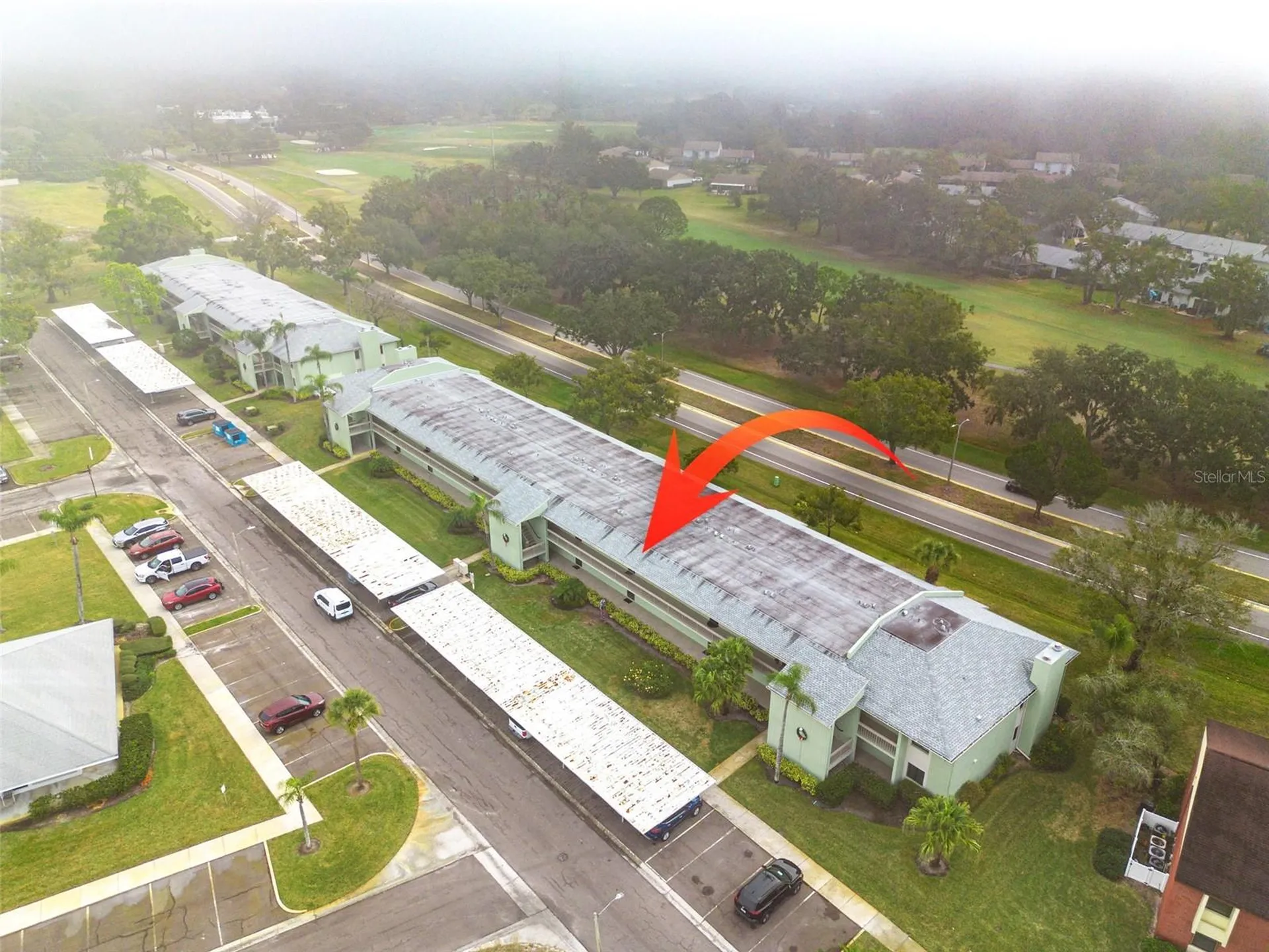 218 Caryl Way Oldsmar FL 34677