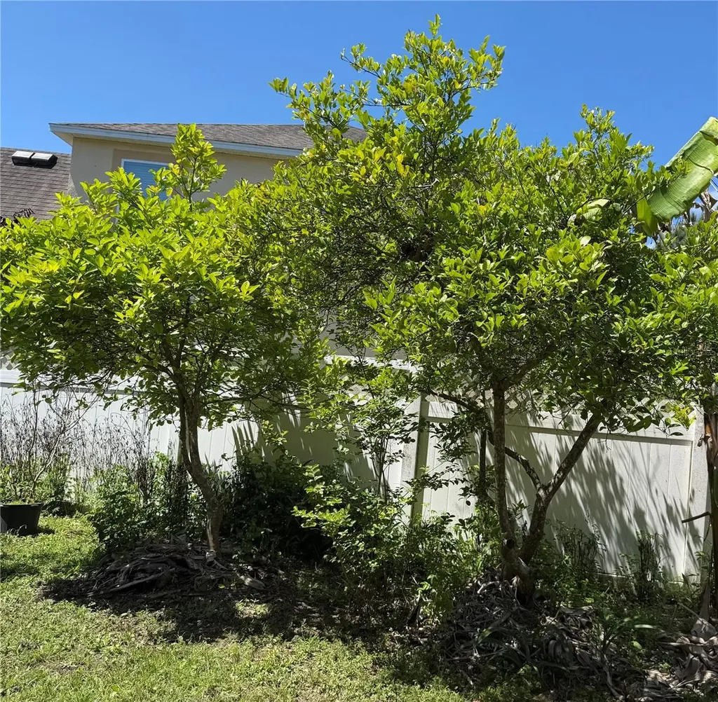 2803 Moonstone Bend Kissimmee FL 34758