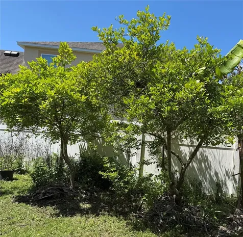 2803 Moonstone Bend Kissimmee FL 34758