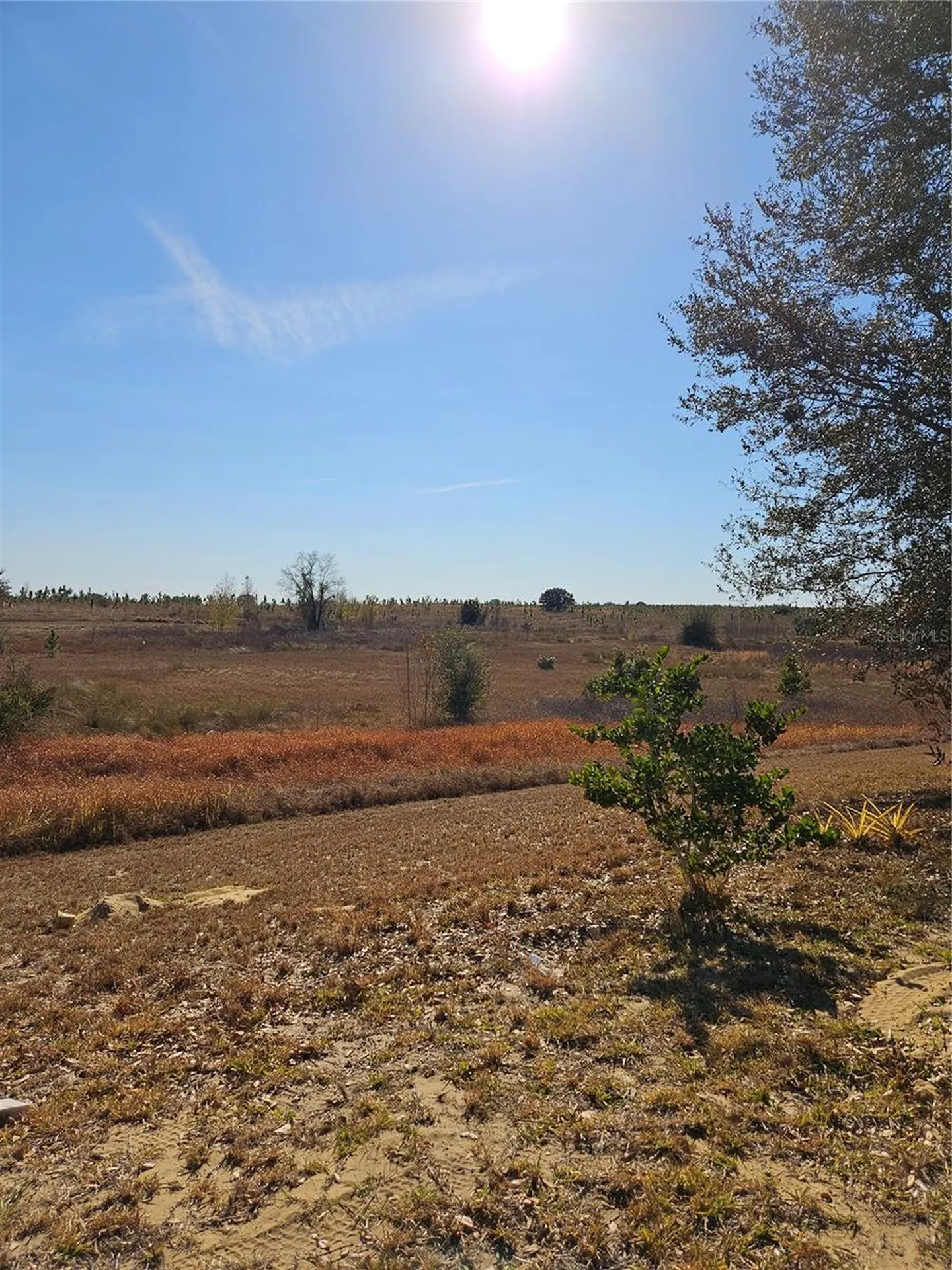 4509 Powderhorn Place Drive Clermont FL 34711