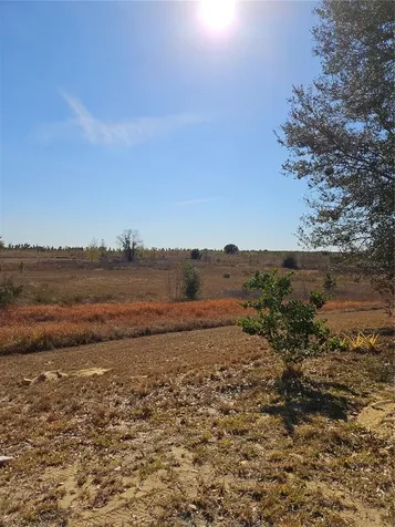 4509 Powderhorn Place Drive Clermont FL 34711