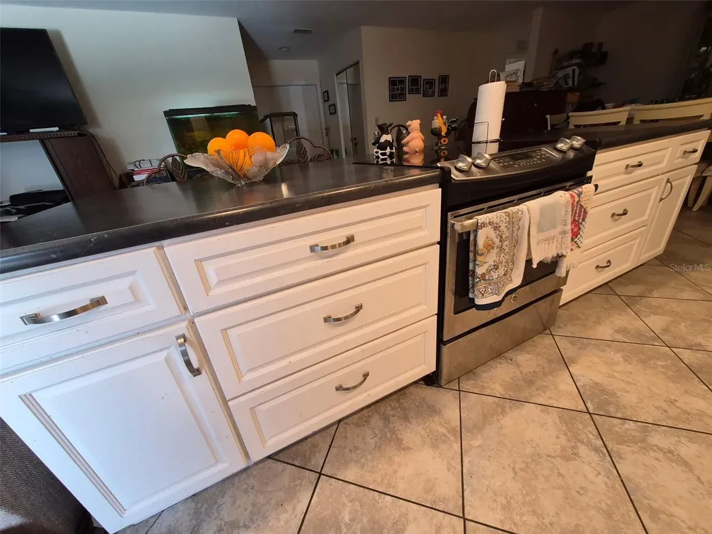 11738 96th Place Seminole FL 33772