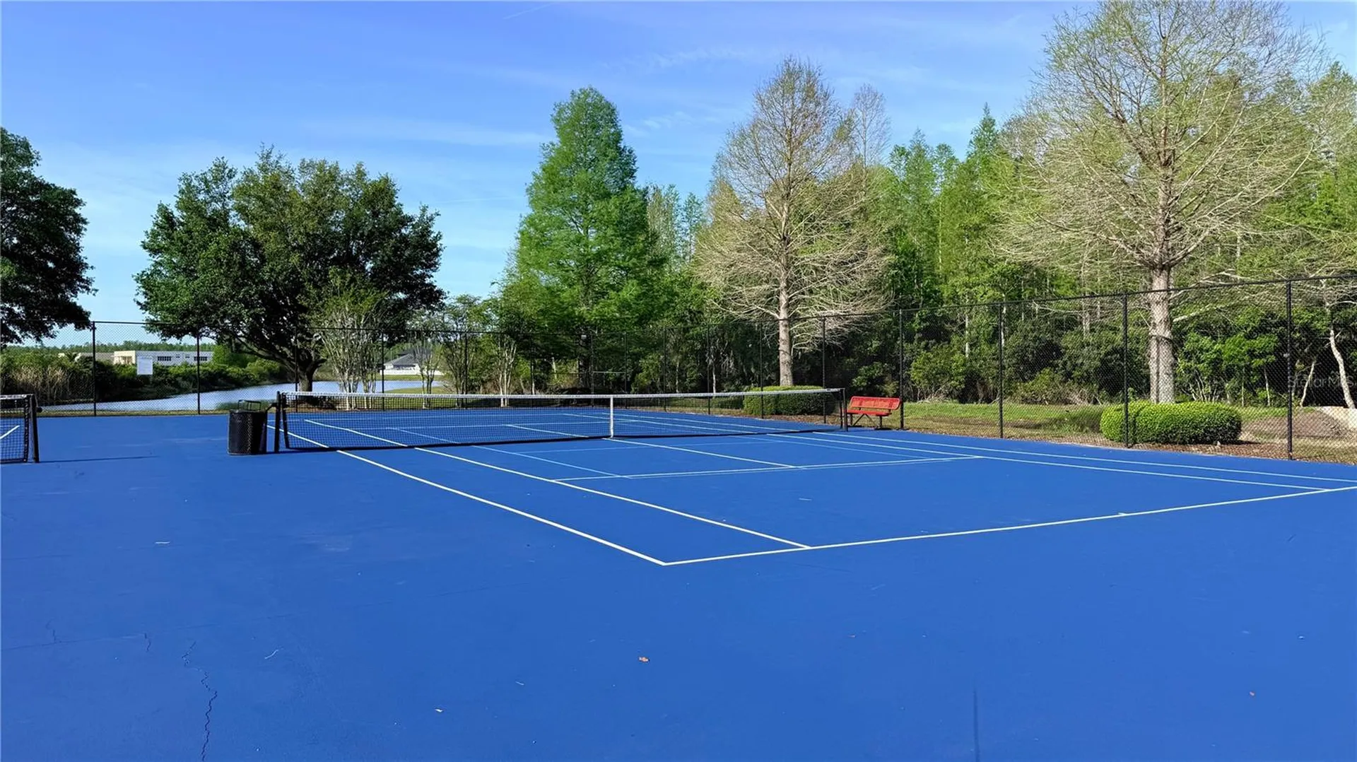 3529 Lefays Point Land O Lakes FL 34638
