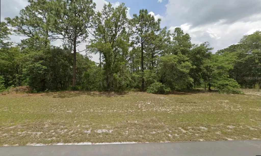 0 138th Street Street Ocala FL 34473