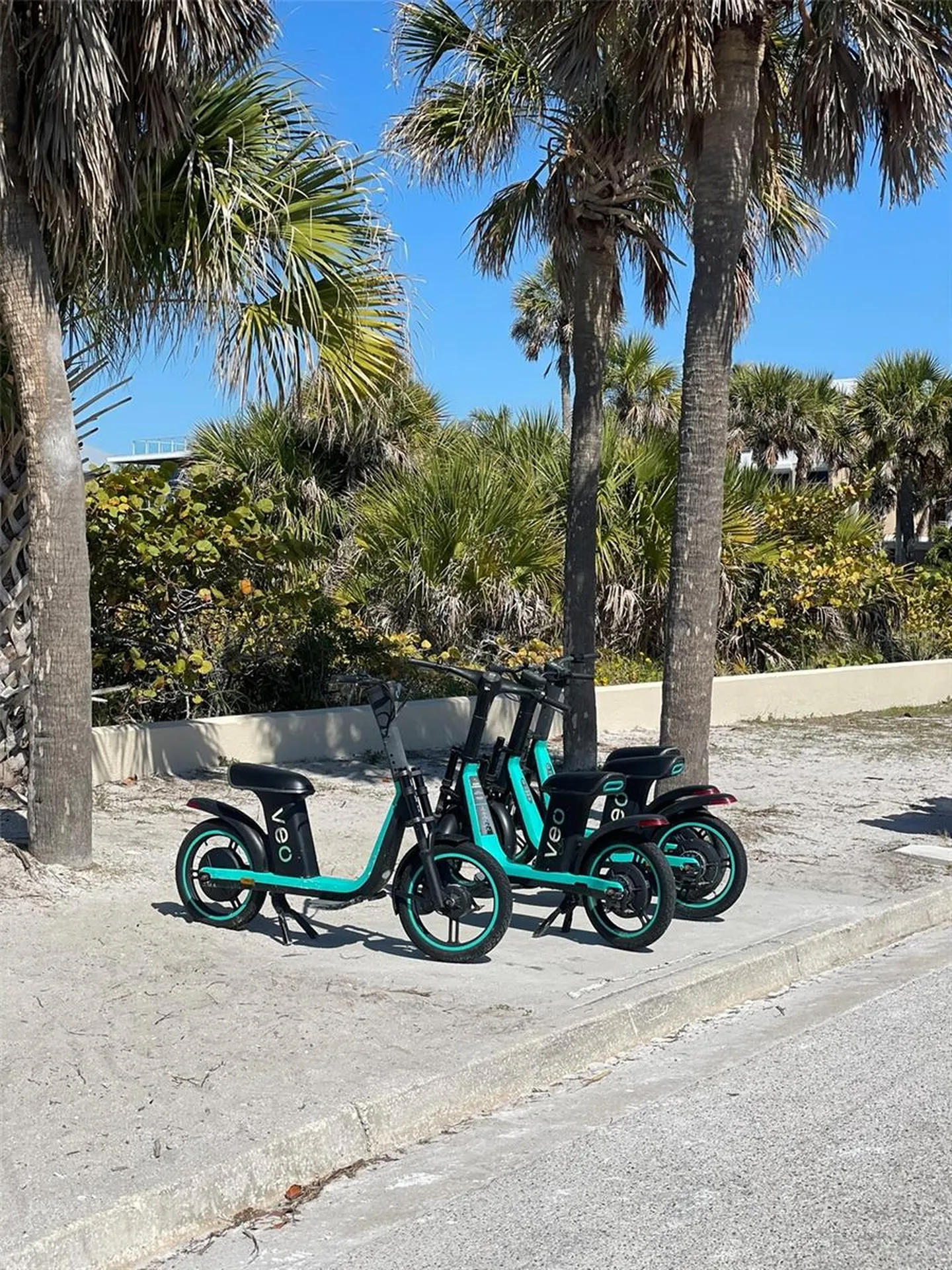 828 S Tuttle Avenue Sarasota FL 34237