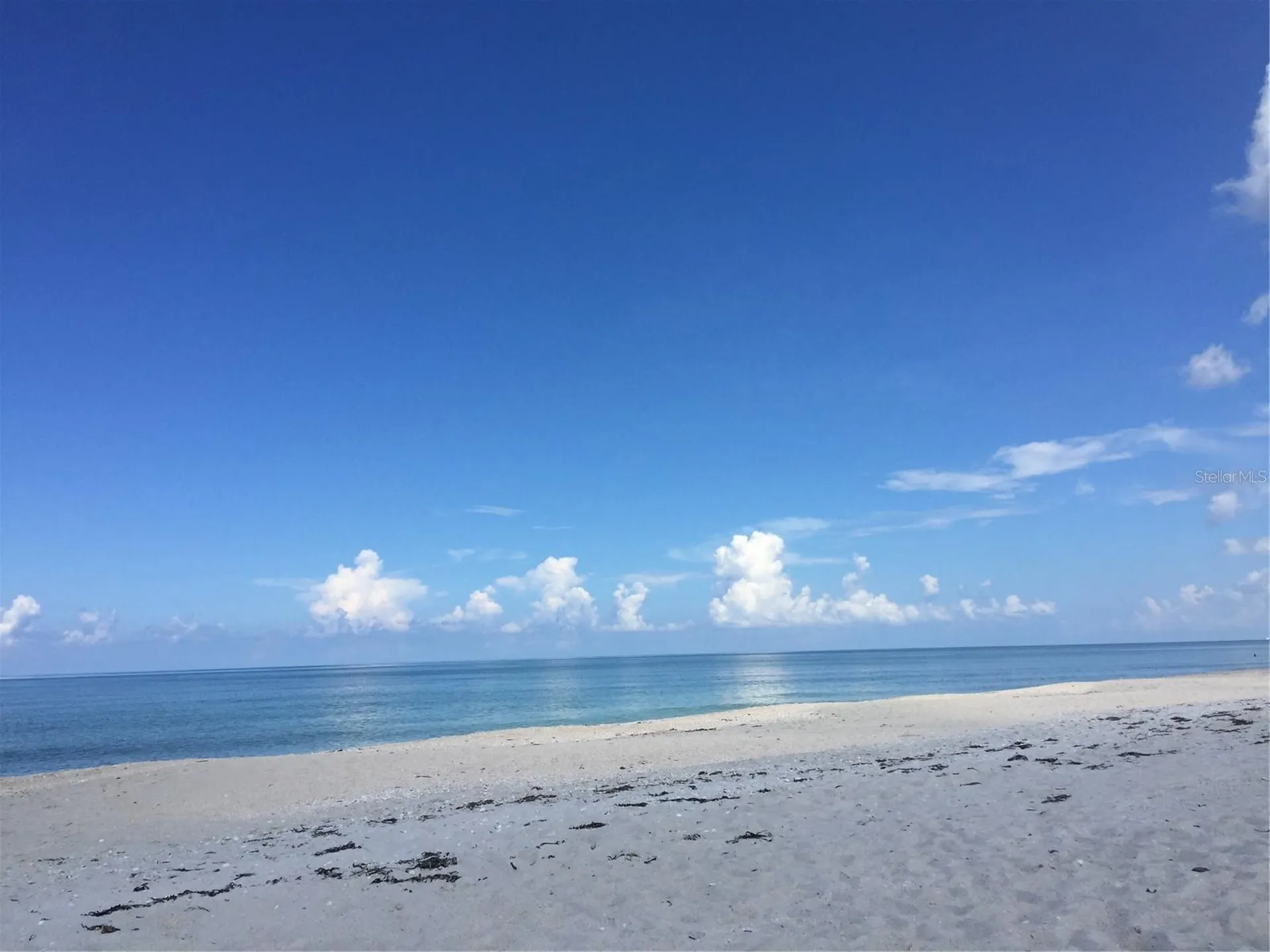 828 S Tuttle Avenue Sarasota FL 34237