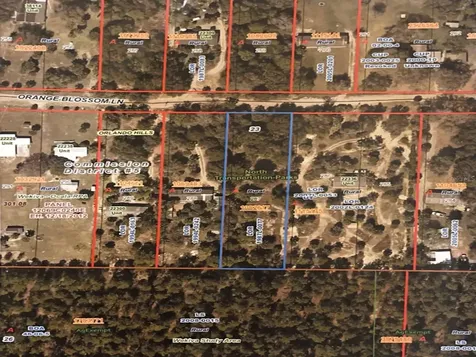 Orange Blossom Lane Eustis FL 32736
